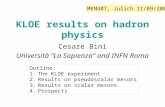 KLOE results on hadron physics