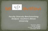 Faculty Diversity Benchmarking Analysis- Southern Illinois University Brianna Addis Brian Skaggs