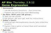 AP Bio:  Thursday, 2.9.12 Gene Expression