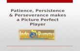 Patience, Persistence & Perseverance makes a Picture Perfect