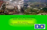 Searches for New Phenomena With the D  Detector Nick Hadley The University of Maryland