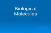 Biological  Molecules