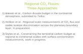 Regional CO 2  Fluxes: Three Approaches
