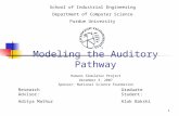 Modeling the Auditory Pathway