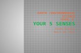 Earth /Environmental Science Grade: K  Your 5 Senses