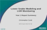 Lower Snake Modeling and LGR Monitoring Year 1 Report Summary