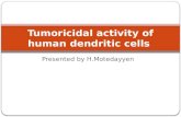 Tumoricidal  activity of human  dendritic  cells