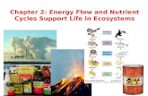 Chapter 2: Energy Flow and Nutrient Cycles Support Life in Ecosystems