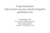 Frog Disection aa.psu/biology/frog/default.htm