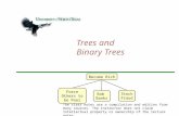 Trees and  Binary Trees