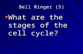 Bell Ringer (5)