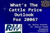 What’s The  Cattle Price Outlook  For 2006?