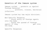Genetics of the Immune system Immune system  - protects us against foreign material