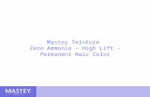 Mastey Teinture  Zero Ammonia - High Lift - Permanent Hair Color