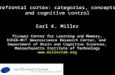 Prefrontal cortex: categories, concepts  and cognitive control Earl K. Miller