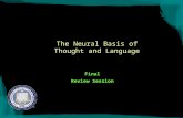 The Neural Basis of Thought and Language