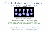 Black Holes and Strings  in the Water Tap