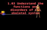 1.03 Understand the functions and disorders of the skeletal system