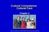 Cultural Competence:  Cultural Care