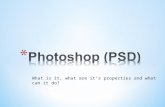 Photoshop (PSD)