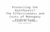 Protecting the Rainforest? The Effectiveness and Costs of Mahogany Prohibition