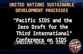 UNITED NATIONS SUSTAINABLE DEVELOPMENT PROCESSES