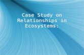 Case Study on Relationships in Ecosystems: