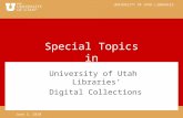 Special Topics in