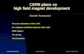CERN plans on          high field magnet development