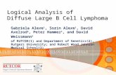 Logical Analysis of  Diffuse Large B Cell Lymphoma