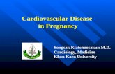 Cardiovascular Disease  in Pregnancy