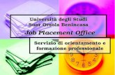 Università degli Studi Suor Orsola Benincasa Job Placement Office