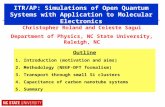 ITR/AP: Simulations of Open Quantum Systems with Application to Molecular Electronics