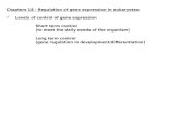 Chapters 18 - Regulation of gene expression in eukaryotes : Levels of control of gene expression