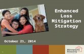 Enhanced Loss Mitigation Strategy