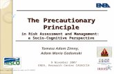 The Precautionary Principle in Risk Assessment and Management:   a Socio-Cognitive Perspective
