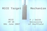 MICE Target   Mechanism