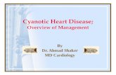 Cyanotic Heart Disease; Overview of Management