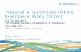 Targeted & Customized Online Experience Using Content Campaigns