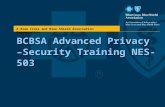 BCBSA Advanced Privacy –Security Training NES-503