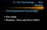 A / AS Psychology..    Key Studies