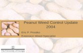 Peanut Weed Control Update 2004