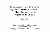 Bioenergy in China’s  Agriculture Sector:  Challenges and Opportunities