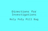 Directions for Investigations