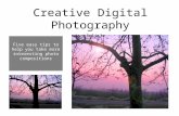 Creative Digital Photography Lyn Belisle