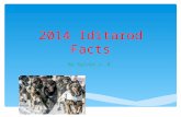 2014 Iditarod Facts