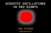 Acoustic Oscillations in Red Giants