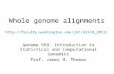 Whole genome alignments