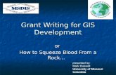 Grant Writing for GIS Development