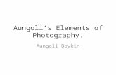 Aungoli’s  Elements of Photography.